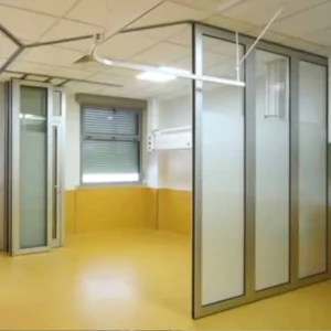 Custom Design Frosted Glass Partition Wall Interior Decorative Glass Divider with Slim Aluminum Profile for Healthcare Space