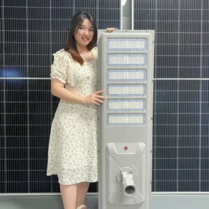 Outdoor Waterproof IP66 Road Lamp Die Casting Aluminum 30W 40W 50W 60W 70W 80W Integrated All In One LED Solar Street Light