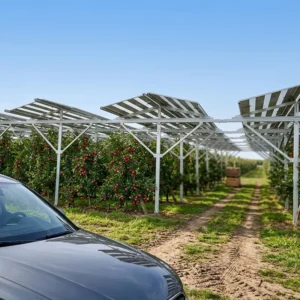 Rustproof Solar Farm Bracket Solar Agriculture Mounting System Aluminum Frame for Efficient Solar Panel Setup