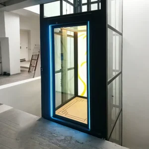 Smart Electric Elevator Modern Small Home Elevators For Duplex Villa Indoor Vertical Mobility Equipment