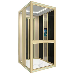 Space Saving Elevator Home Lifts Stylish Mini Elevator For Apartment Duplex Passenger Accessibility Solution