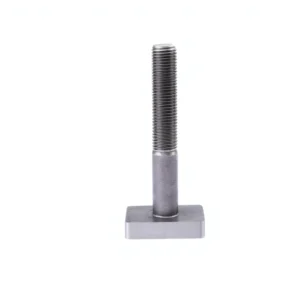 Square Head Zinc Plated Carbon Steel T Bolt M10 M12 M16 Class 8.8 Plain DIN Standard for Solar Bracket Fastening